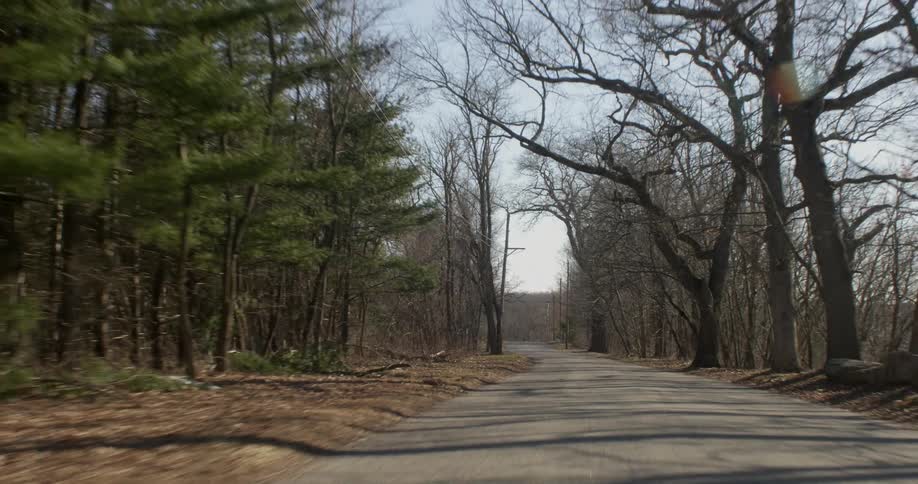 The road has forests on both side
