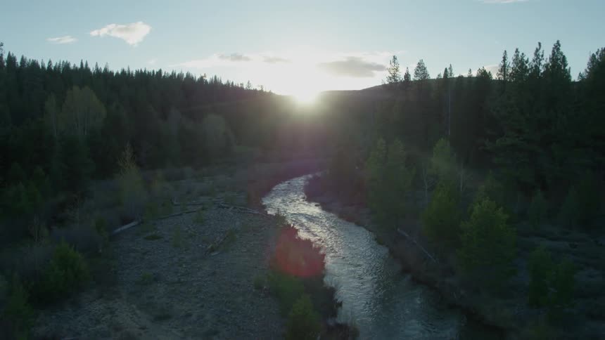 Stream flowing through a forest with the sun rising