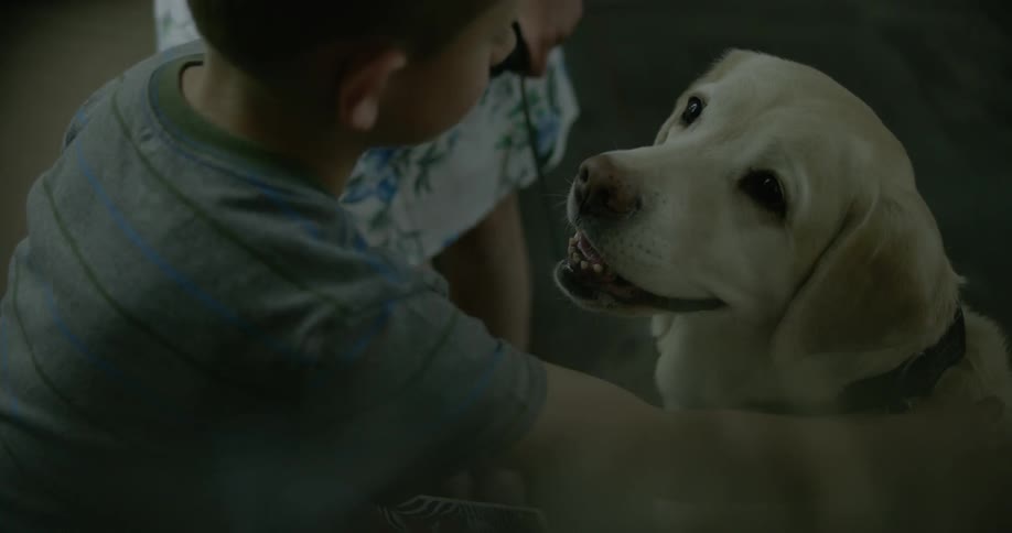 A boy pets a dog