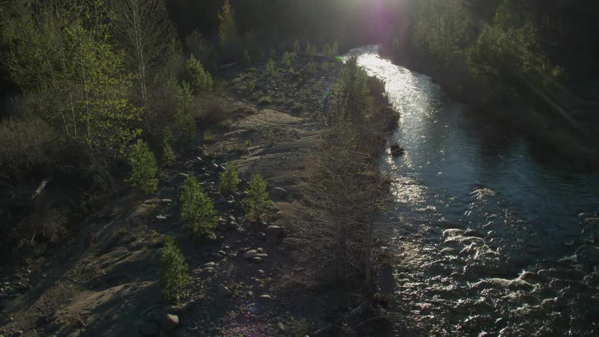 The stream runs through the wilderness