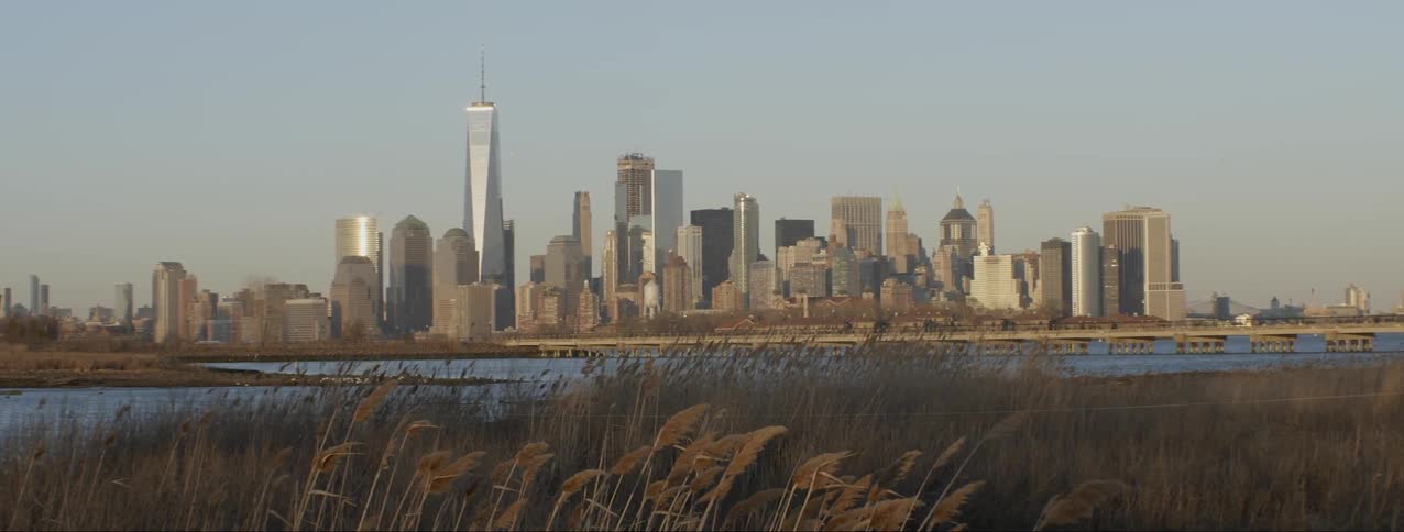 Tall grass waves in the breeze by a large city