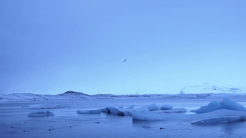 Birds flying over some cold and frozen waters on a cloudy day