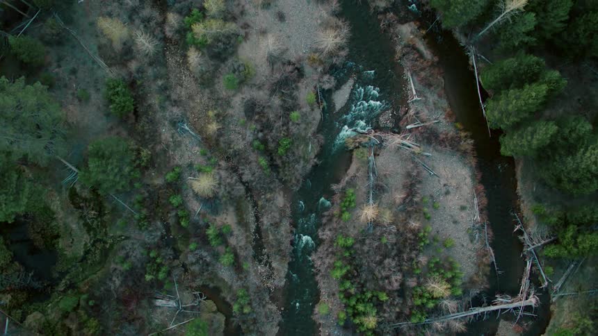 The wilderness below has some streams running through it