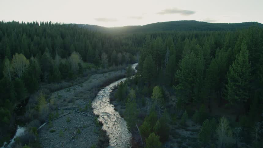 A thin river through a forest