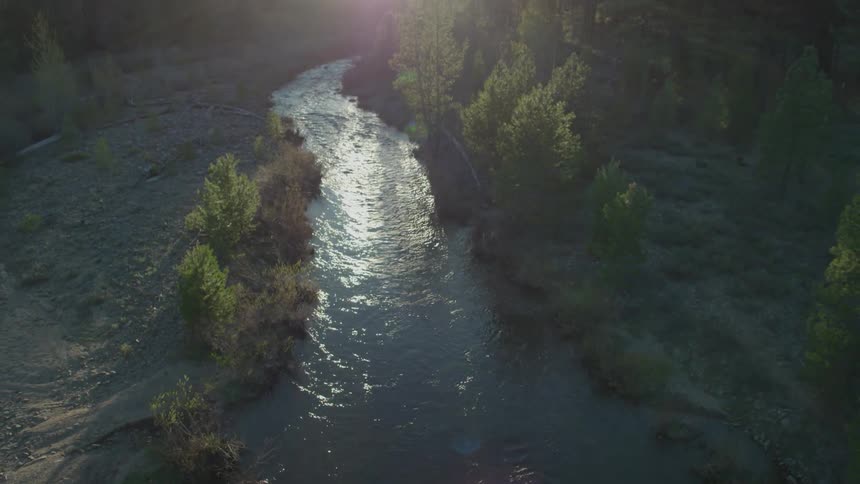 River flowing through rocks and trees on a sunny day