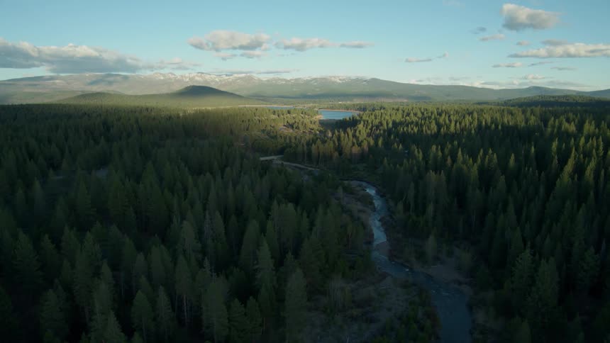 A stream runs through the forest below