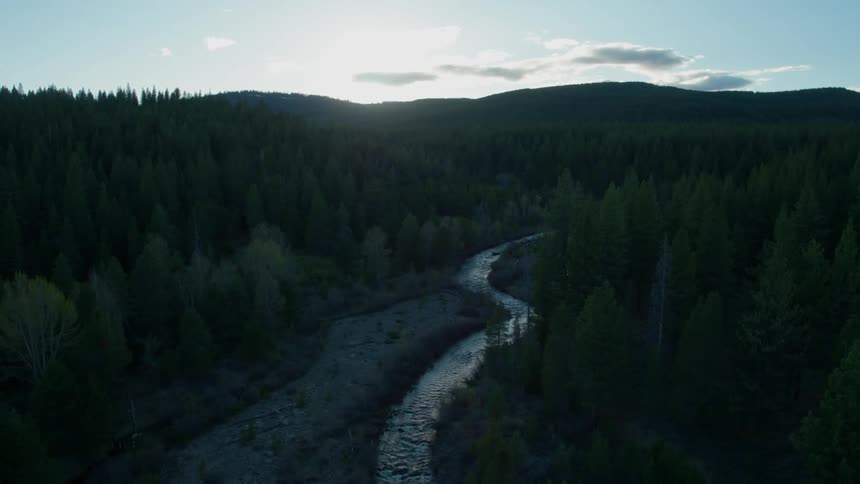 A winding river through the forest