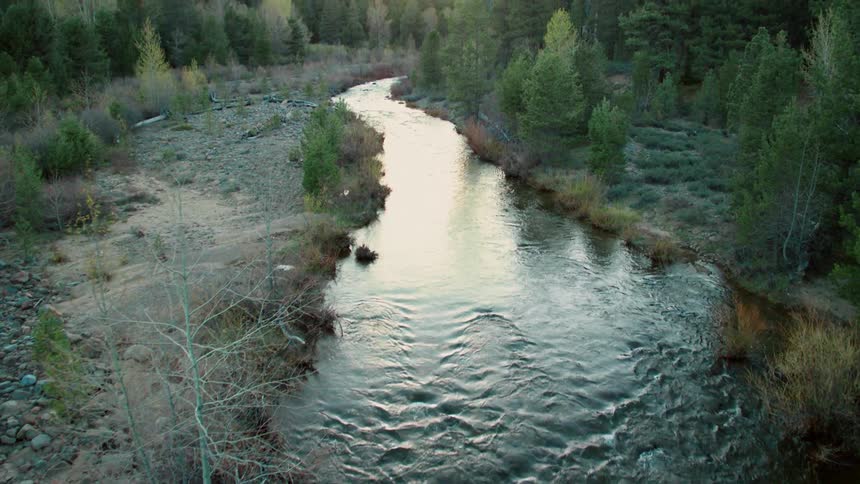 A rolling river through a forest