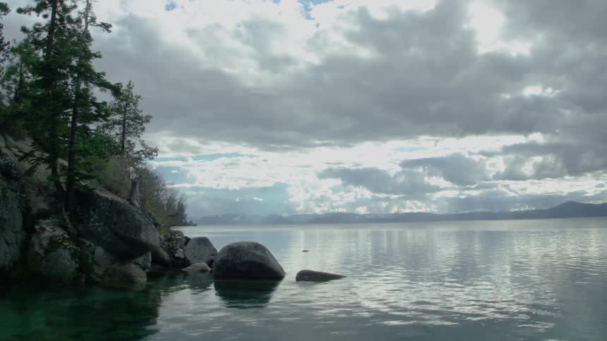 A rocky shore lined with trees