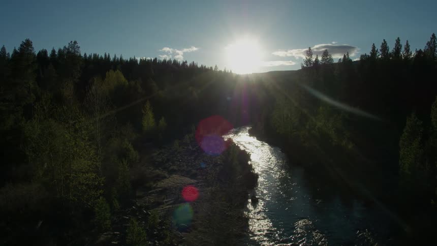 The sun shines over a forest river