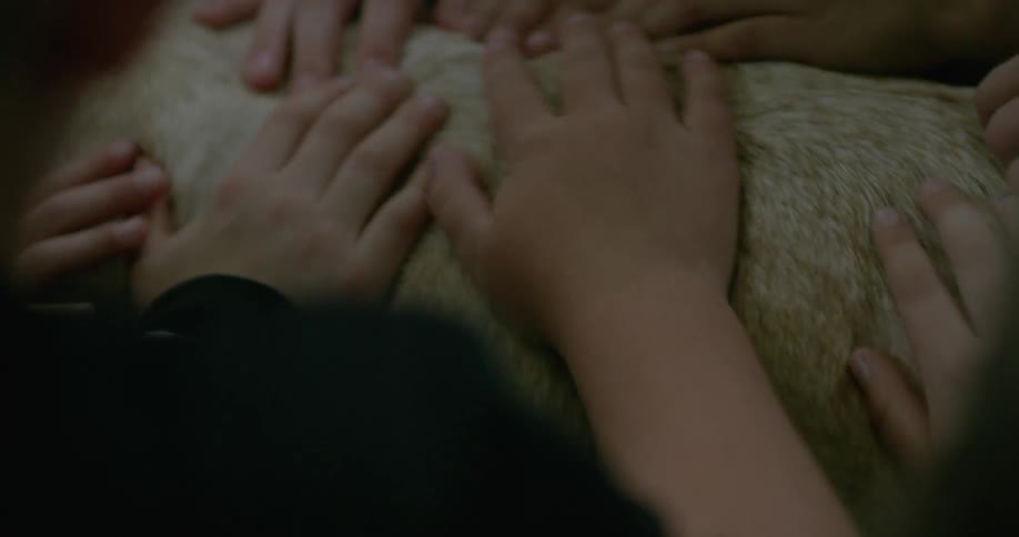 A group of people are petting a dog