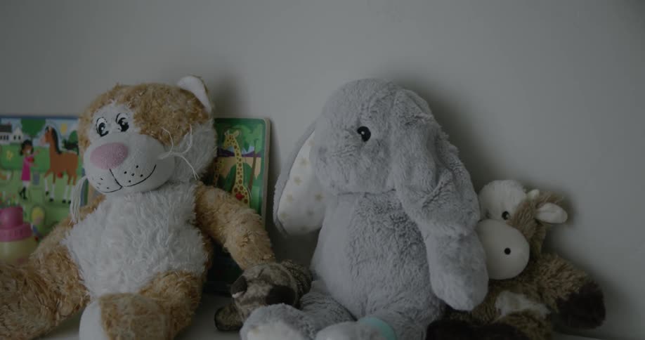 Three toy stuffed animals sit on a table