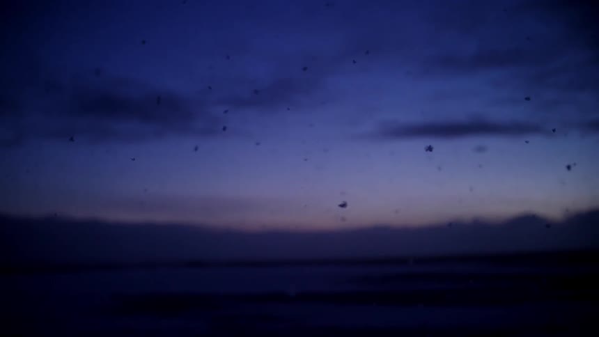 Ashes floating in the air at sunset