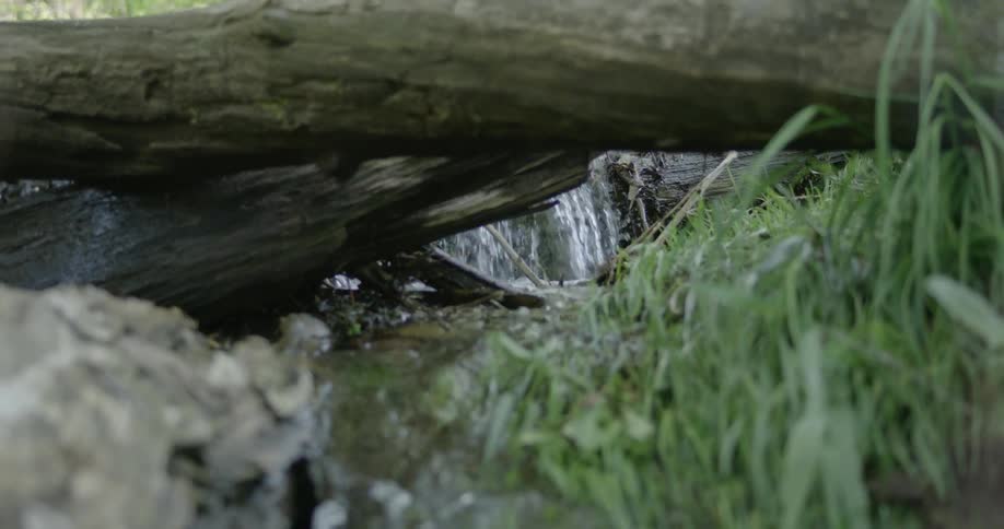 Water flows rapidly down a stream