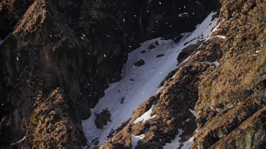 The mountain has ice all over it