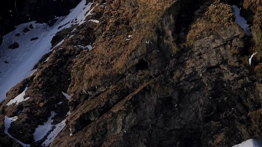 Birds slowly fly over the mountain below