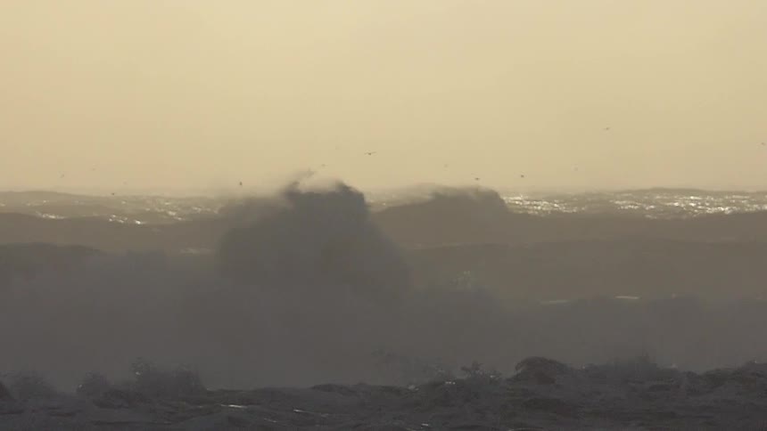 Birds fly over a rough ocean