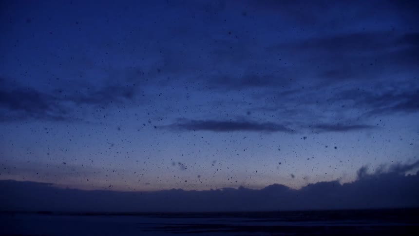 Snow is slowly falling from the dawn sky