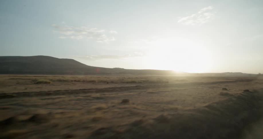 Traveling view of sunny plains