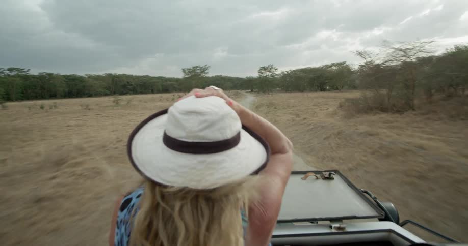 A woman rides on the back of a truck in the safari