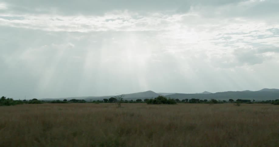 The sun shines through the clouds over the field