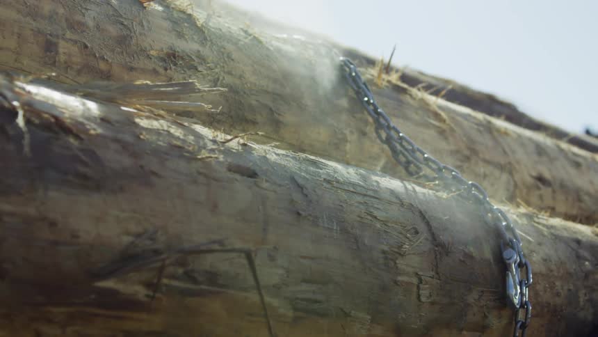 Chains falling down onto logs on a sunny day