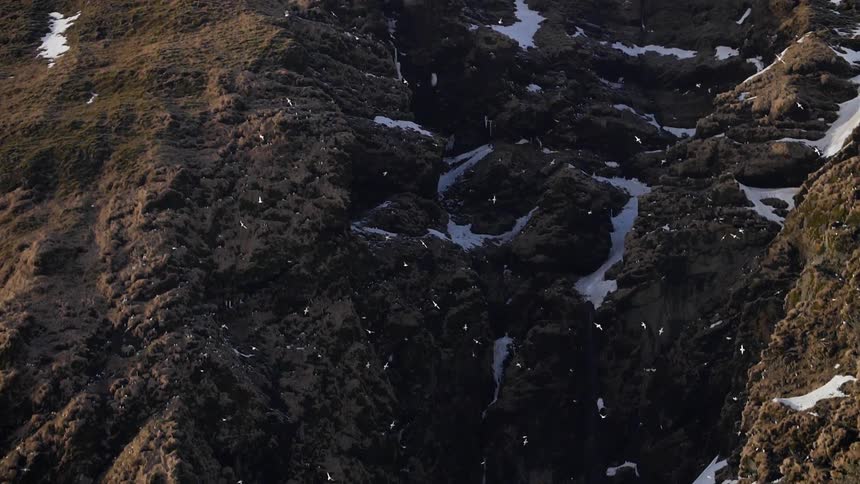 Birds fly above a snowy mountain