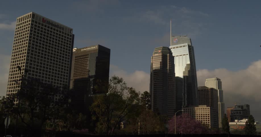 The city has tall buildings with some trees on the street