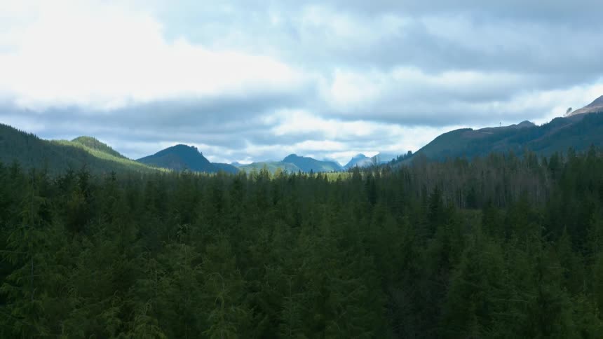 The forest i dense leading to the mountains ahead