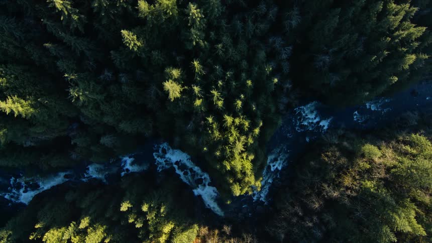 Water flows rapidly down a stream