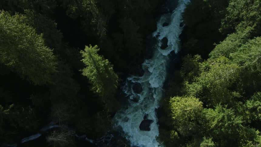 The rocky stream below is surrounded by trees