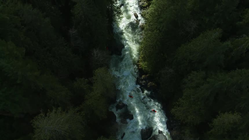 A swift moving river through a forest