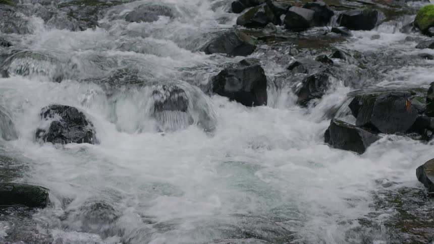 Frothy water rushes over the rocks