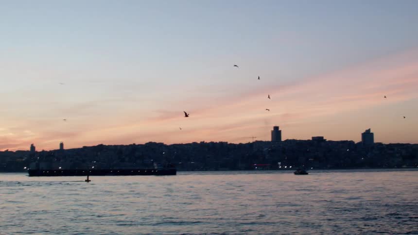 Birds fly over a body of water at sunset