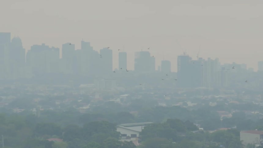 A flock of birds fly toward a city on a hazy day