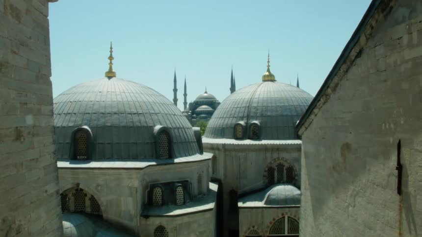 A bird flies between domed buildings
