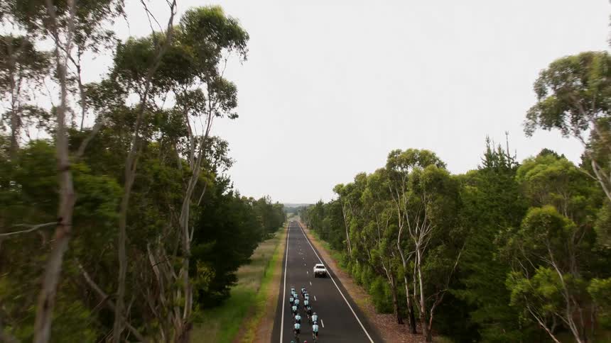 Cyclists riding in the woods
