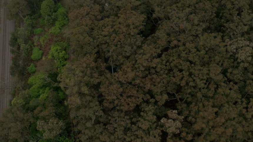 Cyclists riding down a wooded road