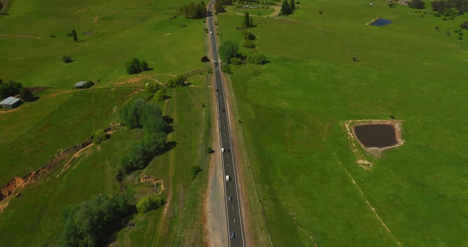 A small road is surrounded by long green fields