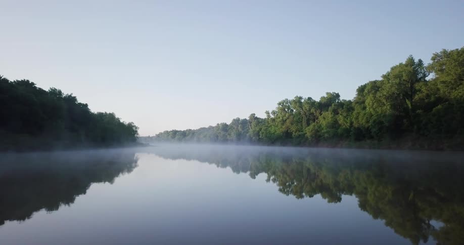 A misty river in the forest