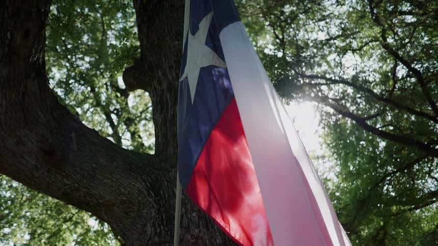 The texas flag under a tree