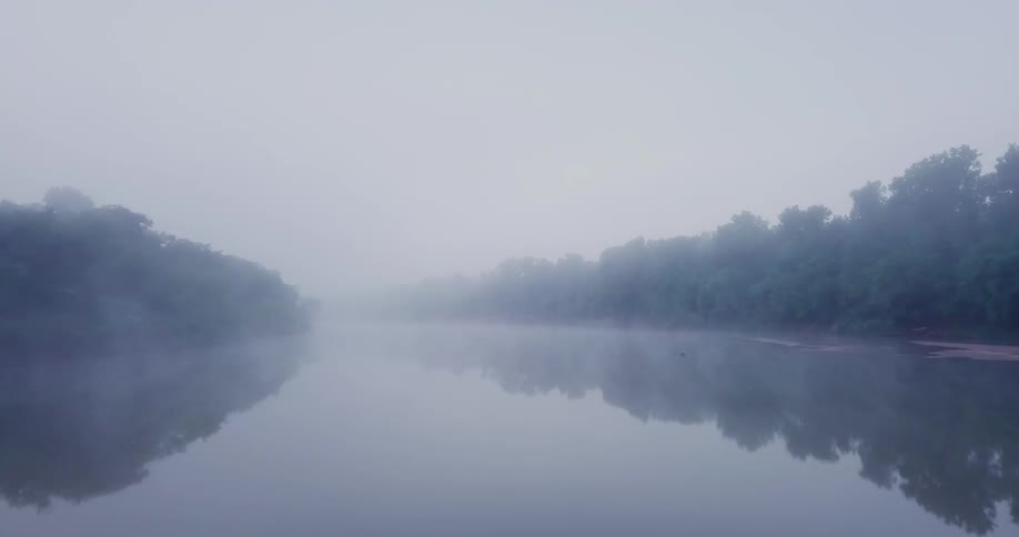 Fog over a tree lined river