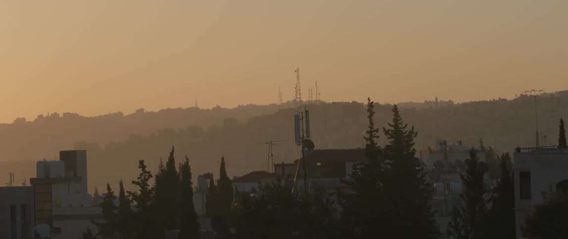 Trees and buildings at sunset