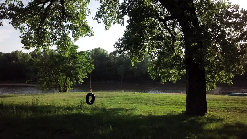 Tire swing hanging from a tree near a river
