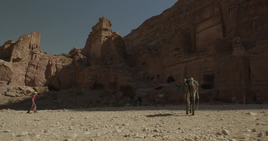 A donkey walks outside next to a landmark