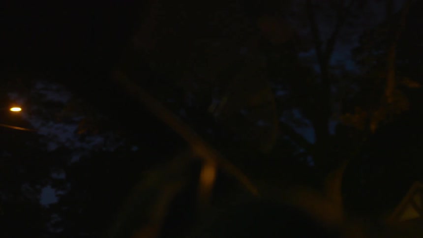 A person drives on a residential street at night