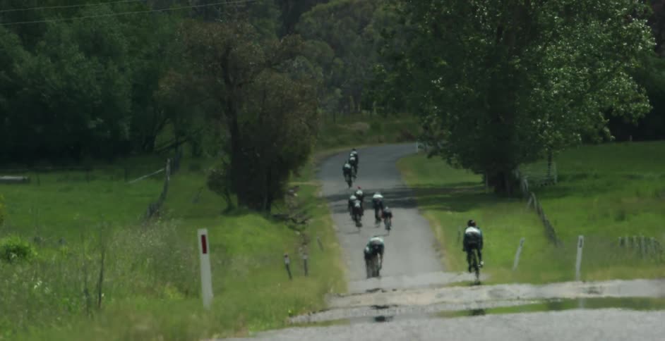 Bicyclists travel down a road surrounded by trees