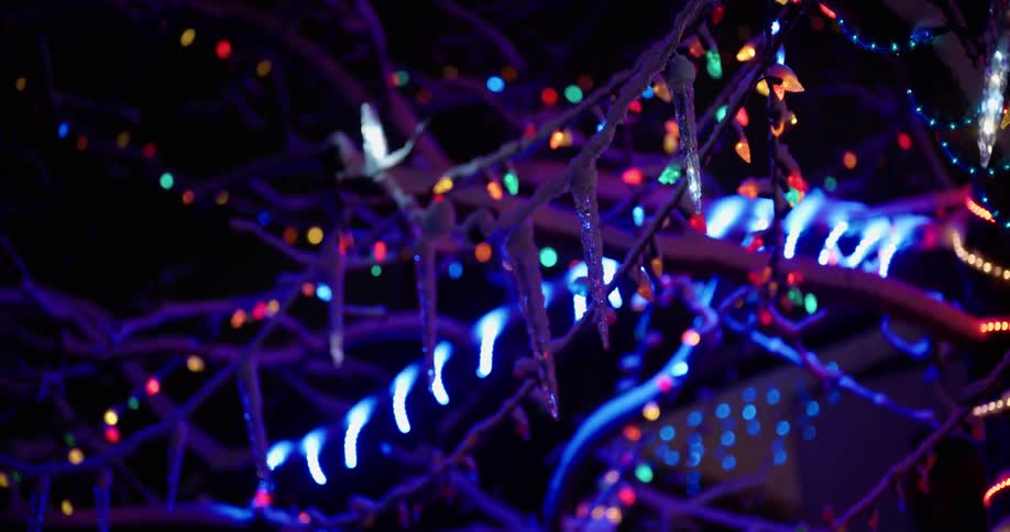 Christmas lights on a tree