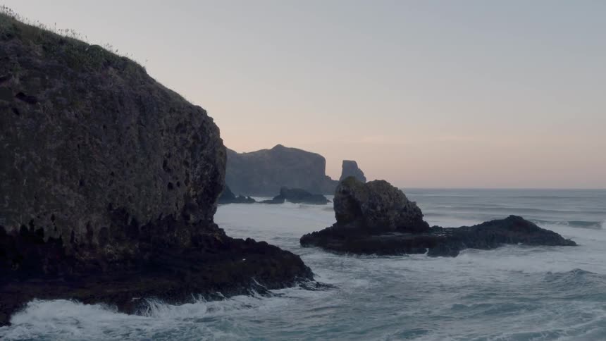 Waves roll in near the rocks as a bird flies by