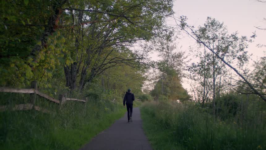 A man walks down a path surrounded by trees